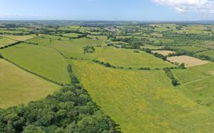 Photo 16- click for photo gallery